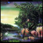 Album artwork for Tango in the Night by Fleetwood Mac