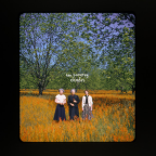 Album artwork for Cicadas by Ken Pomeroy