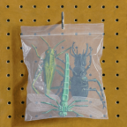 Album artwork for Concorde by Black Country, New Road