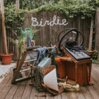 Album artwork for Birdie by Slaughter Beach, Dog