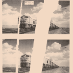 Album artwork for you could be a cop by You Could Be a Cop