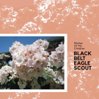 Album artwork for mother of my children by Black Belt Eagle Scout
