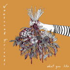 Album artwork for What You Like by Weakened Friends