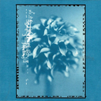 Album artwork for The Cry by Placid Angles