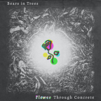 Album artwork for Flower Through Concrete by Bears in Trees