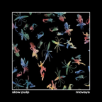 Album artwork for Moveys by Slow Pulp