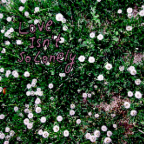 Album artwork for Love Isn't So Lonely by baileyrp