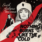 Album artwork for Nothing Burns Like the Cold by Snoh Aalegra