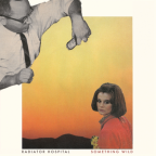 Album artwork for Something Wild by Radiator Hospital