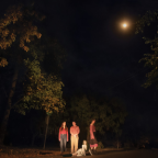 Album artwork for Spring Grove by The Ophelias