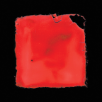 Album artwork for last chance to see [Explicit] by Salvia Palth