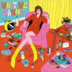 Album artwork for What We Wanna by Magic City Hippies
