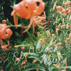 Album artwork for Six O'clock News - Single by Brennan Wedl