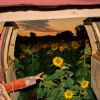 Album artwork for Little Wide Open by Kevin Morby