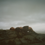 Album artwork for A Sign In The Weather by Bella White