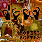 Album artwork for Forest Agates by Deca