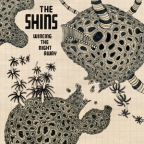 Album artwork for Wincing the Night Away by The Shins