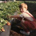 Album artwork for The Last of the Honey Bees by Sam Burchfield