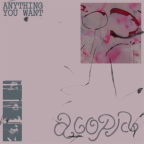 Album artwork for Anything You Want - Single by Acopia