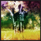 Album artwork for Meeting of the Waters by Animal Collective