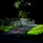 Album artwork for Treehouse by Alex G, Emily Yacina