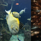 Album artwork for ʅ͡͡͡͡͡͡͡͡͡͡͡(ƟӨ)ʃ͡͡͡͡͡͡͡͡͡͡ ꐑ(ཀ ඊູ ఠీੂ೧ູ࿃ूੂ✧ළඕั࿃ूੂ࿃ूੂੂ࿃ूੂළඕั✧ı̴̴̡ ̡̡͡|̲̲̲͡ ̲̲̲͡͡π̲̲͡͡ ɵੂ≢࿃ूੂ೧ູఠీੂ ඊູཀ ꐑ(ʅ͡͡͡͡͡͡͡͡͡͡͡(ƟӨ)ʃ͡͡͡͡͡͡͡͡͡͡ by ⣎⡇ꉺლ༽இ•̛)ྀ◞ ༎ຶ ༽ৣৢ؞ৢ؞ؖ ꉺლ