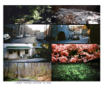 Album artwork for a whole fucking lifetime of this by American Pleasure Club