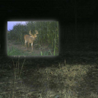 Album artwork for I'll Be Damned by Dutch Interior