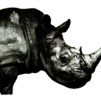 Album artwork for Mr.Children 1992-1995 by Mr.Children
