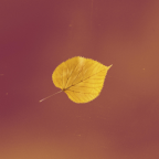 Album artwork for Autumn (feat. Jackson Lundy) - Single by Couch