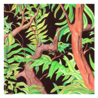 Album artwork for Autoflower by Jesse Woods