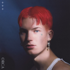 Album artwork for Orca by Gus Dapperton