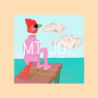Album artwork for Cardinal by Mt. Joy
