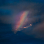 Album artwork for Pool Kids by Pool Kids