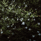 Album artwork for Pezzi della Sera by Marco Castello