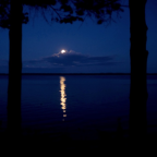 Album artwork for My Sweet Lord by Damian Marley