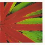 Album artwork for This Afternoons Malady by Jejune