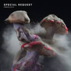 Album artwork for Fabriclive 91: Special Request by Polygon Window
