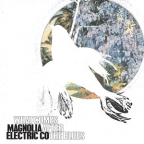 Album artwork for What Comes After The Blues by Magnolia Electric Co.