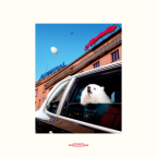 Album artwork for White Roses - Single by Flyte