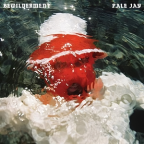 Album artwork for Bewilderment by Pale Jay