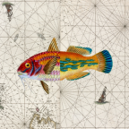 Album artwork for Sspplliitt by Thanks For Coming