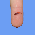 Album artwork for Oxis 8 by oxis