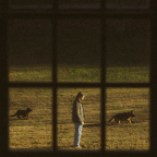 Album artwork for The Great Divide: The Last of the Bugs by Noah Kahan