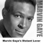 Album artwork for Distant Lover by Marvin Gaye