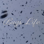 Album artwork for Bugs Life by Woody