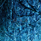 Album artwork for Nah und Fern by Gas