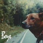 Album artwork for Boys by Indigo De Souza