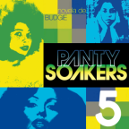 Album artwork for Panty Soakers 5 by Budgie