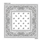 Album artwork for Infinite by Summer of Haze